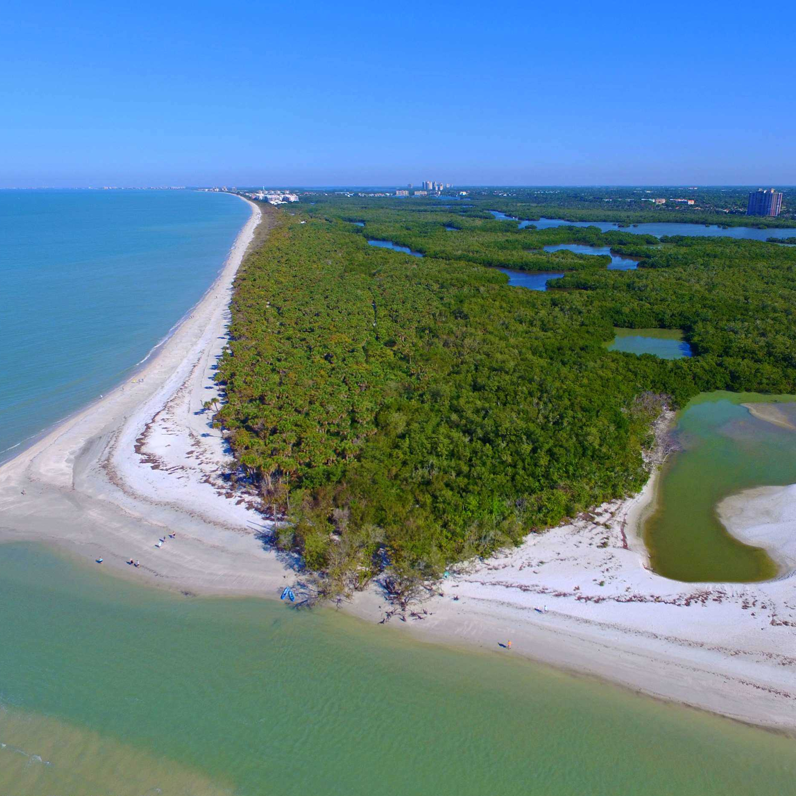 Barefoot Beach Preserve