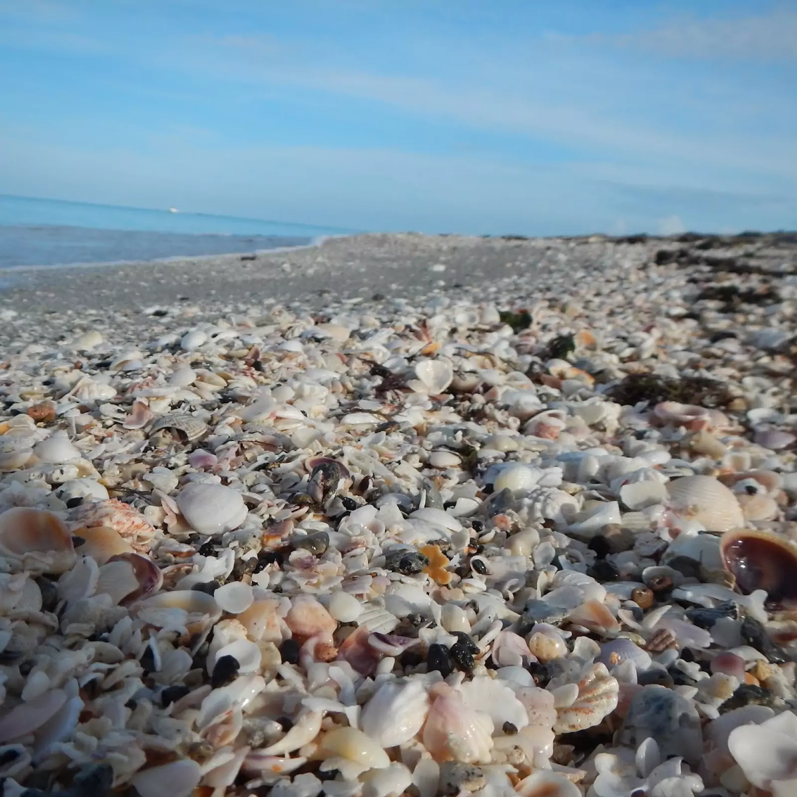 Caspersen Beach