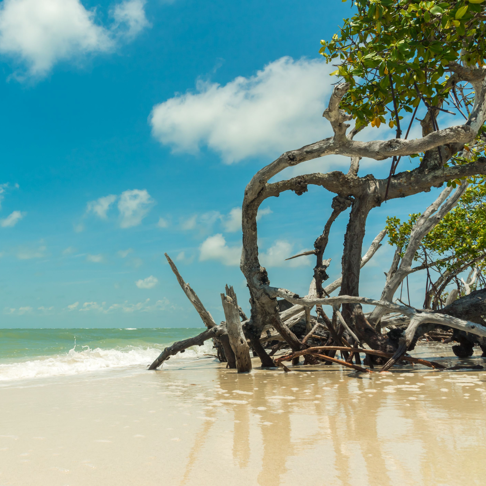 Little Hickory Island State Park